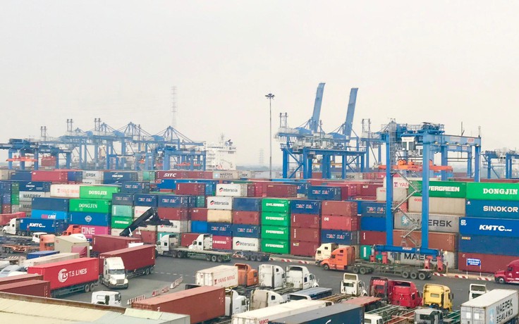 Đề xuất giảm 50% phí cảng biển ở TP.HCM