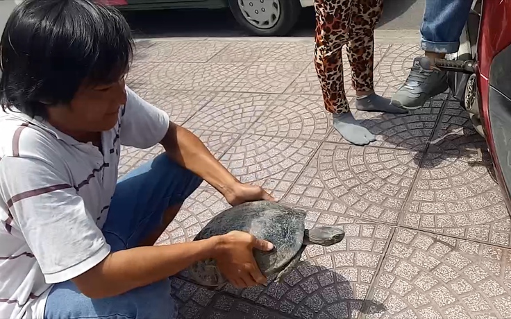 Lần theo đường dây bán rùa trái phép tại trung tâm Sài Gòn