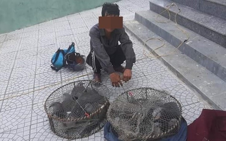 Phạt một người dân vì bẫy gầm ghì lưng nâu ở rừng phòng hộ Bắc Hải Vân