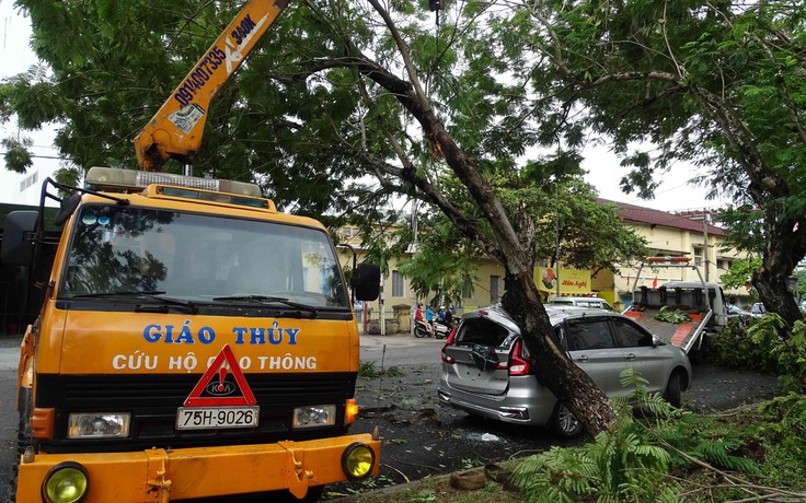 Bàng hoàng cây đổ la liệt cùng trụ điện, nhà bay mất mái sau bão số 5