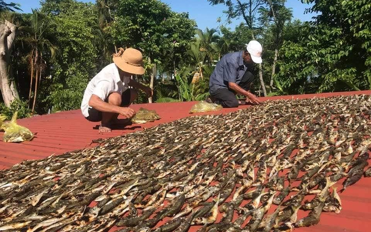 Bà con dốc sức vì Sài Gòn bởi: 'Nơi từng là trung tâm tình thương'