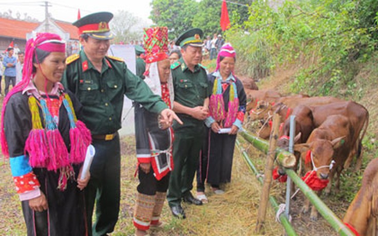 ‘Bò giống giúp người nghèo biên giới’ - Sự tri ân của những người lính