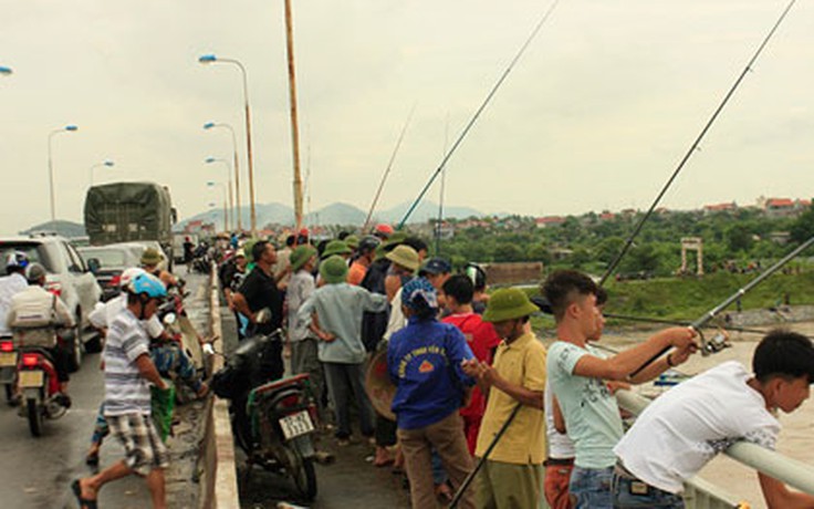 Cá sổng lồng nuôi vì mưa lũ, dân chen nhau săn cá