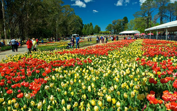 Muôn màu lễ hội hoa Floriade nước Úc