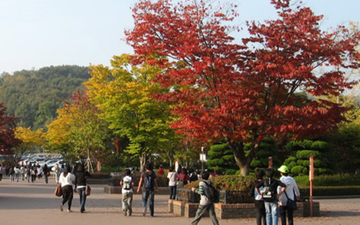 Phải lòng mùa thu Hàn Quốc