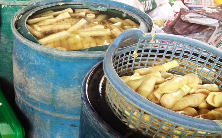 Phát hiện măng tươi nhuộm vàng bằng chất gây ung thư ở Đà Nẵng, Vinh