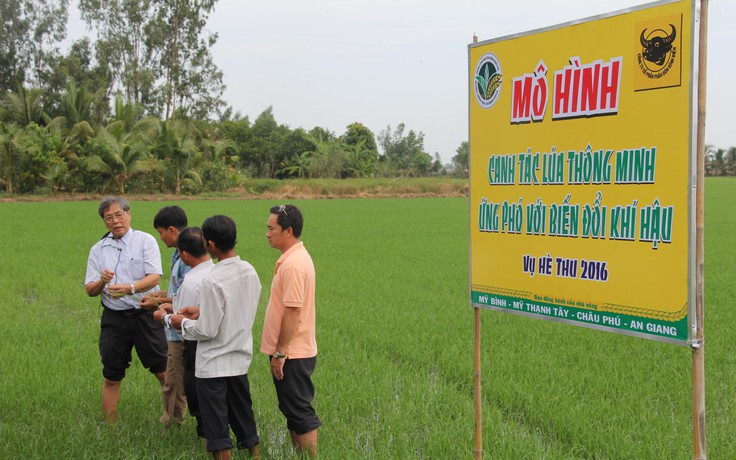 Ra mắt chương trình ‘Canh tác thông minh’