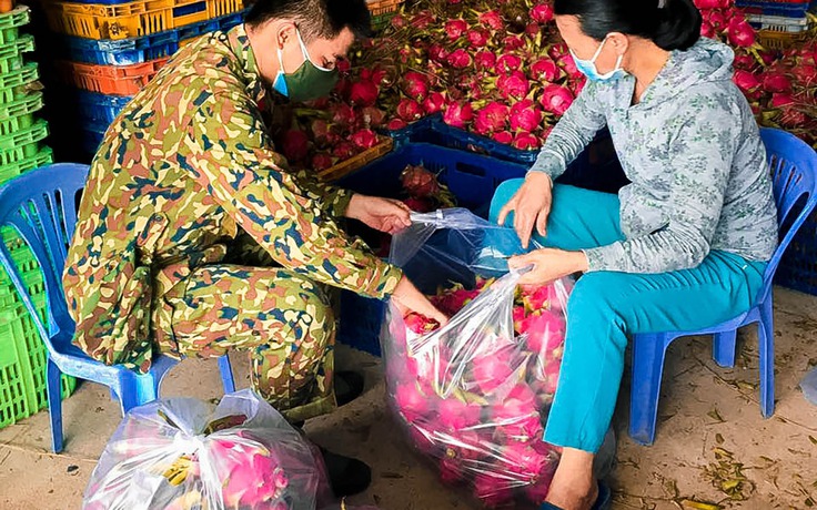 Đặc sản thủ phủ thanh long Bình Thuận được gửi tặng người dân vùng dịch TP.HCM