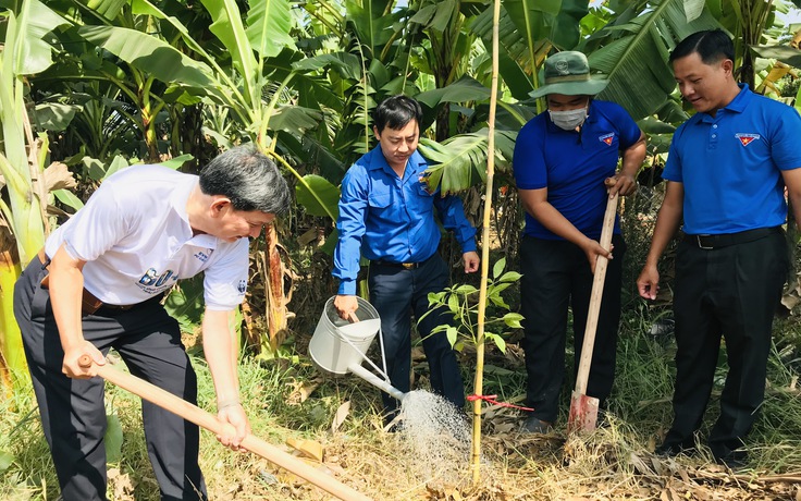 150 đoàn viên, thanh niên trồng 1.200 cây kèn hồng