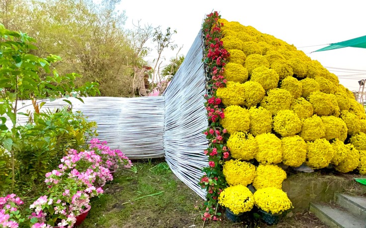 Choáng ngợp bó hoa khổng lồ ở miền Tây kết từ 400 chậu cúc mâm xôi