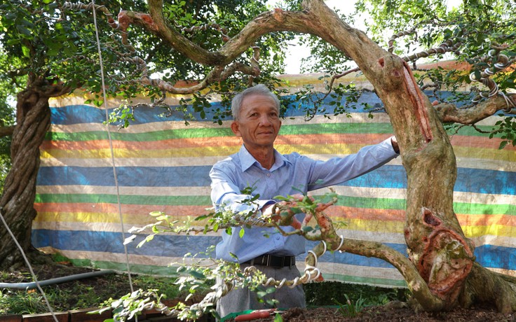 'Độc nhất miền Tây': Vườn nguyệt quế hàng ngàn cây, tuyệt tác trong khu vườn bạc tỉ