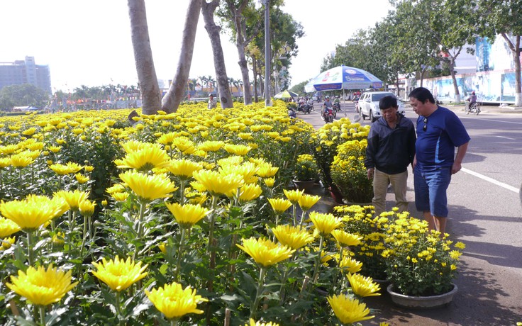 Chợ hoa tết ở Quy Nhơn đìu hiu, người bán mong giao thừa đến chậm