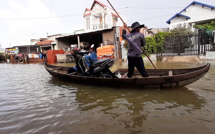 Nông dân Bình Định cấp tập chạy lũ