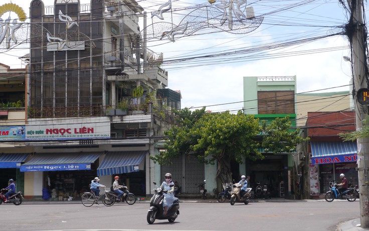 Dân chưa đồng thuận, Chủ tịch tỉnh Bình Định yêu cầu tạm dừng một dự án