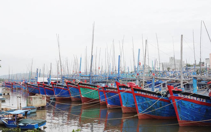 Vì sao Bình Định dừng tham gia dự án Cảng cá Tam Quan có vốn 540 tỉ đồng?
