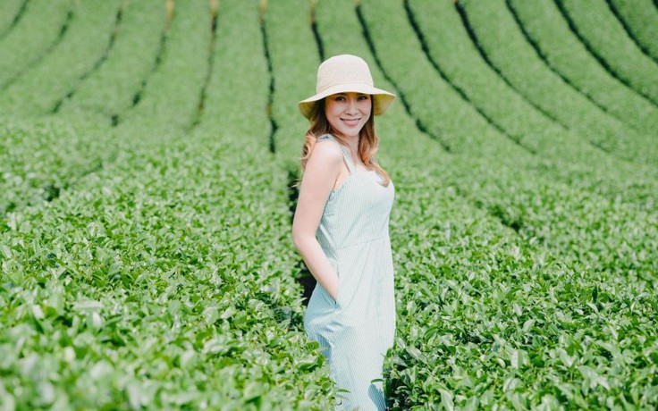 Mỹ Tâm tạm ngưng đơn đặt hàng cho Vol.9