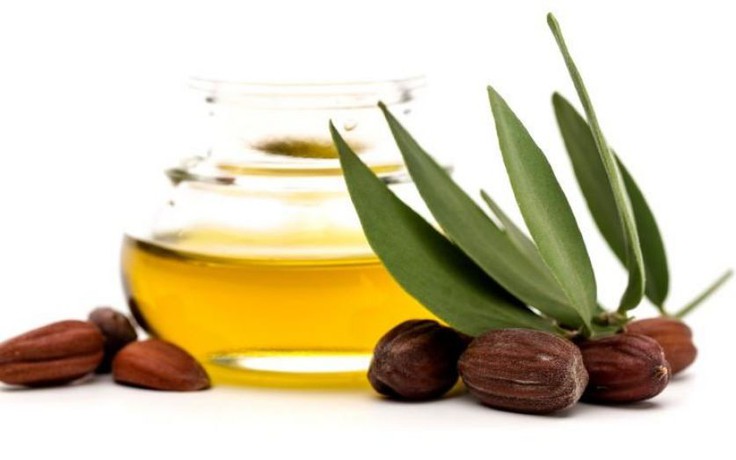 Sự kì diệu của dầu Jojoba đối với làn da