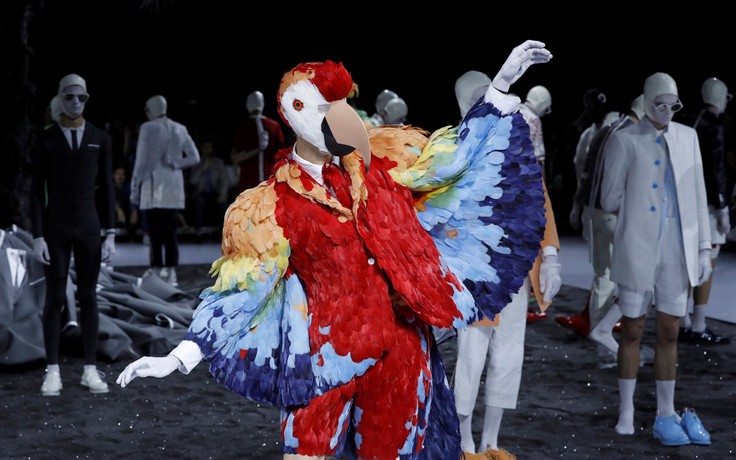 Bậc thầy gây ấn tượng