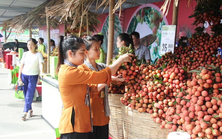 Khai mạc “Tuần lễ Vải thiều Lục Ngạn - Bắc Giang"