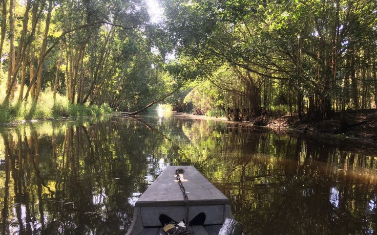 Về thăm xứ sở sen hồng
