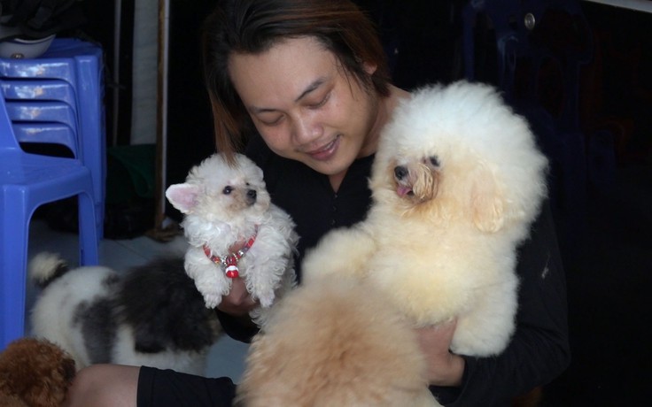 8x miền Tây thu nhập tiền tỉ nhờ nuôi chó Poodle