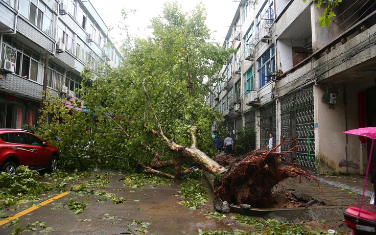 Trung Quốc chịu tổn thất lớn vì siêu bão Lekima