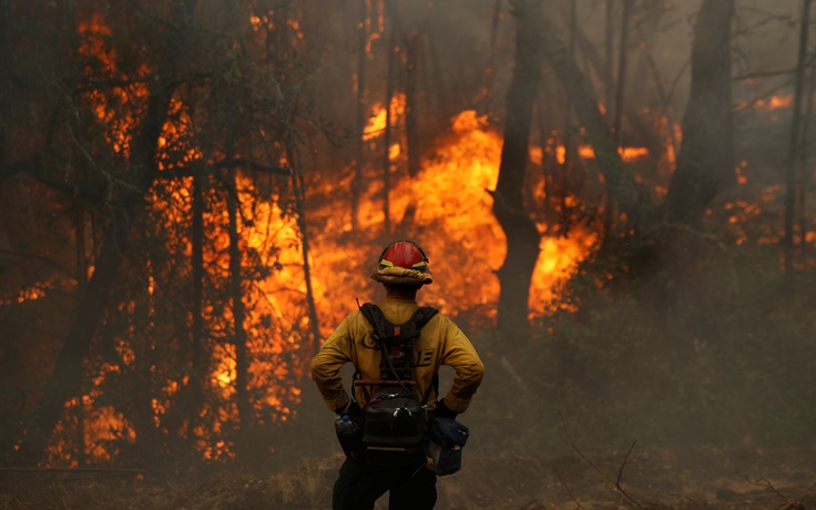 Cháy rừng California thiêu đốt diện tích lớn gấp đôi kỷ lục trước đây