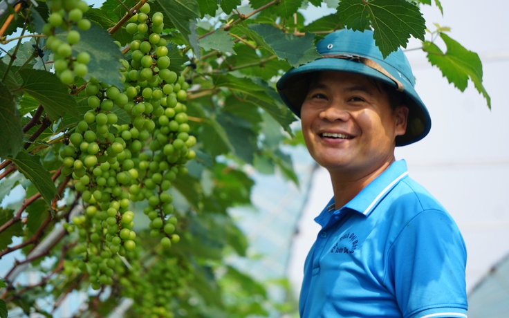 Anh thanh niên đánh liều 'đổ' tiền tỉ vào 2 giống nho 'quý tộc' và cái kết...