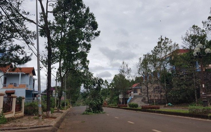 Gió lốc liên tục, UBND tỉnh Đắk Nông yêu cầu các địa phương khẩn trương phòng chống