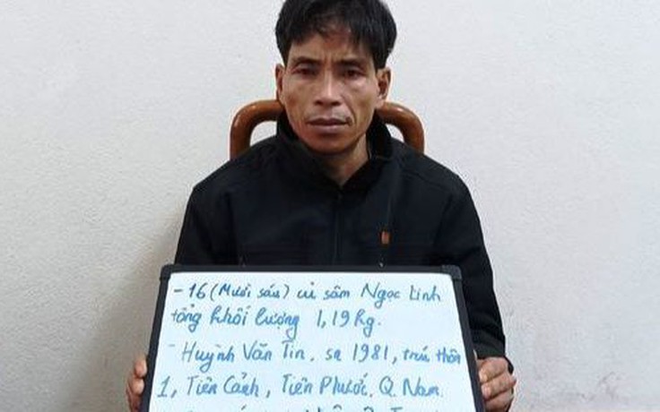 Quảng Nam: Nhổ trộm 16 củ sâm Ngọc Linh rồi nhờ người lên mạng rao bán