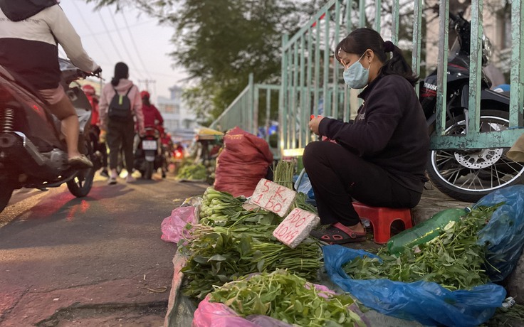 Sau Tết thất nghiệp vì dịch Covid: Vào Sài Gòn làm công nhân giờ ra chợ bán rau
