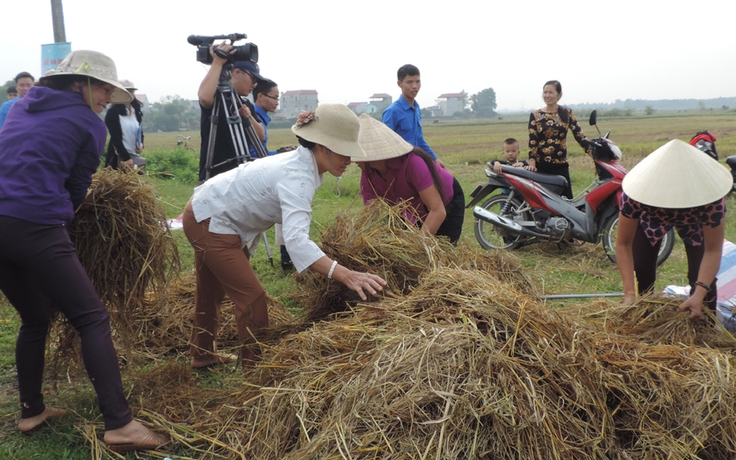 Tuổi trẻ chung tay xử lý vấn nạn đốt rơm rạ gây ô nhiễm môi trường