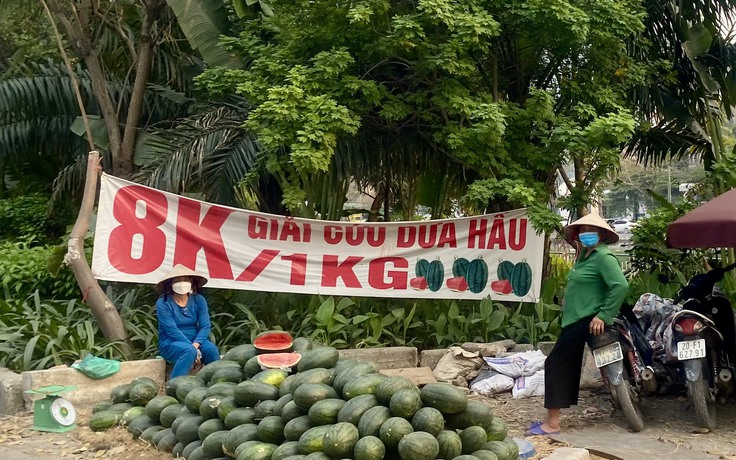 Hoa quả 'giải cứu' bán la liệt vỉa hè, người Hà Nội không mặn mà