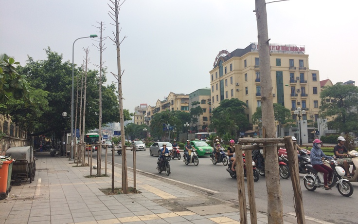 Hà Nội lại thay cây