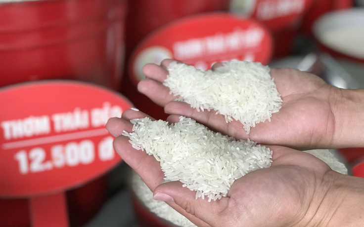 Bát nháo gạo “sạch”