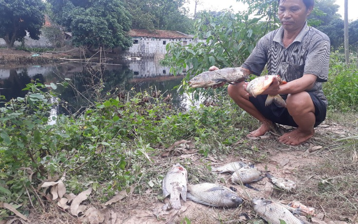 Làng 'đại gia' oằn mình vì ô nhiễm