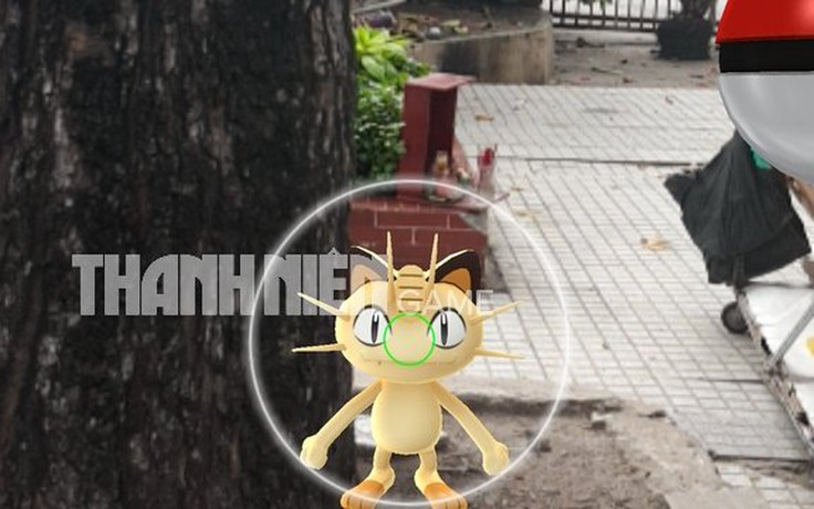 Ký sự Pokemon GO: Tôi đã bắt được chú mèo Meowth như thế nào?