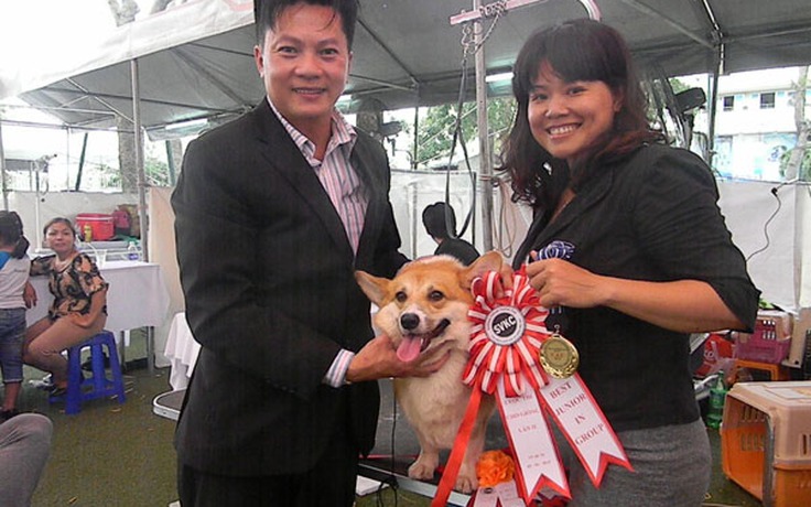 Cuộc thi dành cho chó ‘độc, lạ’ ở Việt Nam