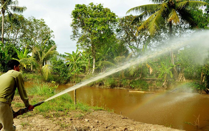 Dốc sức phòng chống cháy rừng