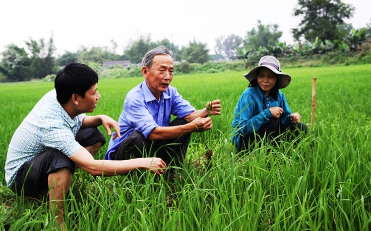 Người luận giải ý... trời!