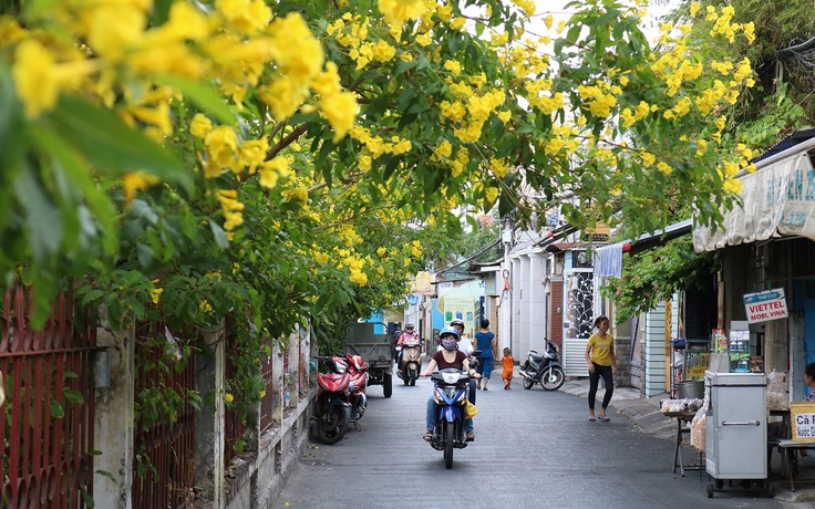 Những cung đường Sài Gòn rợp sắc hoa