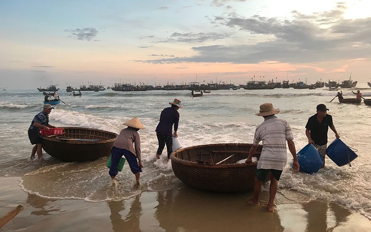 Tam Kỳ dậy sớm