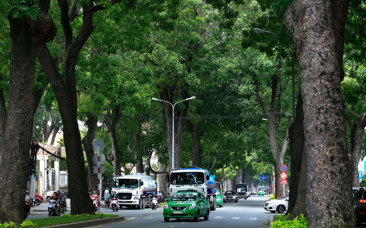 Tôi thấy mình nợ Sài Gòn