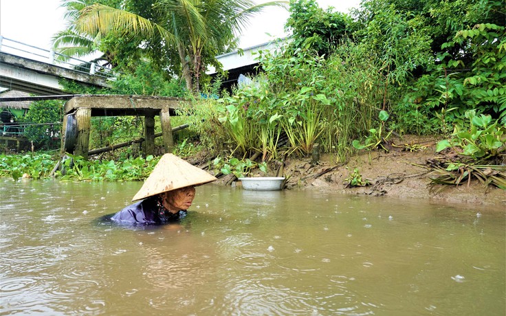 Bà cụ mò hến nuôi mẹ, chị gái: 'Như con cua gãy càng, ráng sức mà bò'