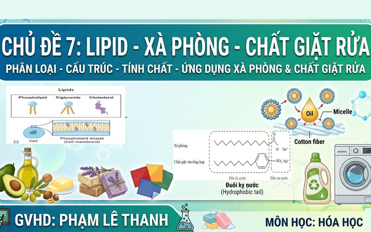 BÍ QUYẾT ÔN THI THPT 2026 | Môn hóa | Chuyên đề 7 | Ester Lipid - Xà phòng - Chất giặt rửa (Phần 2)