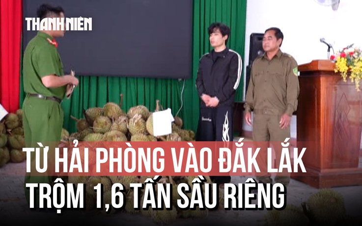 Nghi phạm trộm 1,6 tấn sầu riêng ở Đắk Lắk: 'Cảm thấy có lỗi với nông dân'