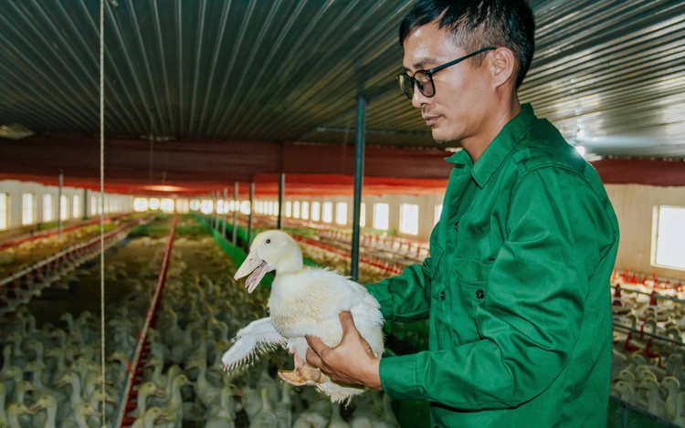 Chi tiết tin  Sở Nông nghiệp và Phát triển nông thôn  Quảng Bình