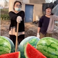 Thạc sĩ bỏ công việc lương cao về quê trồng dưa hấu