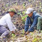 Nỗ lực 'vá' rừng bằng cây gỗ lớn, bởi... 'mở mắt đã thấy rừng'