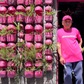 Căn nhà nhuộm hồng toàn bộ ở TP.HCM bởi người đàn ông U.70 trẻ trung mặc áo hồng